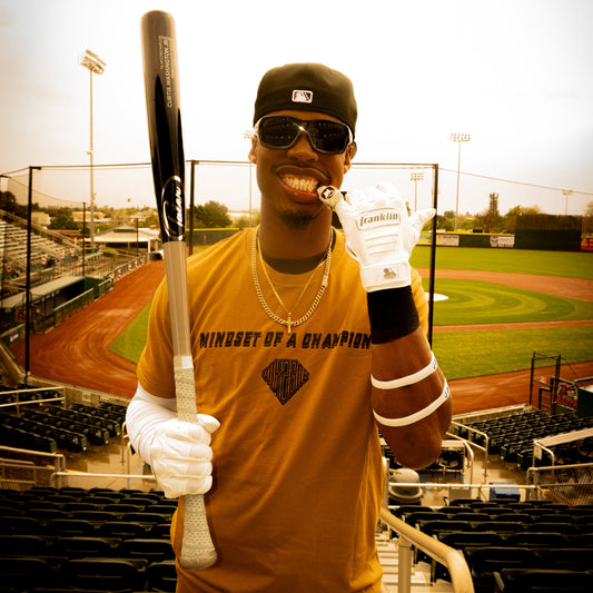 Mindset of a champion T SHIRT